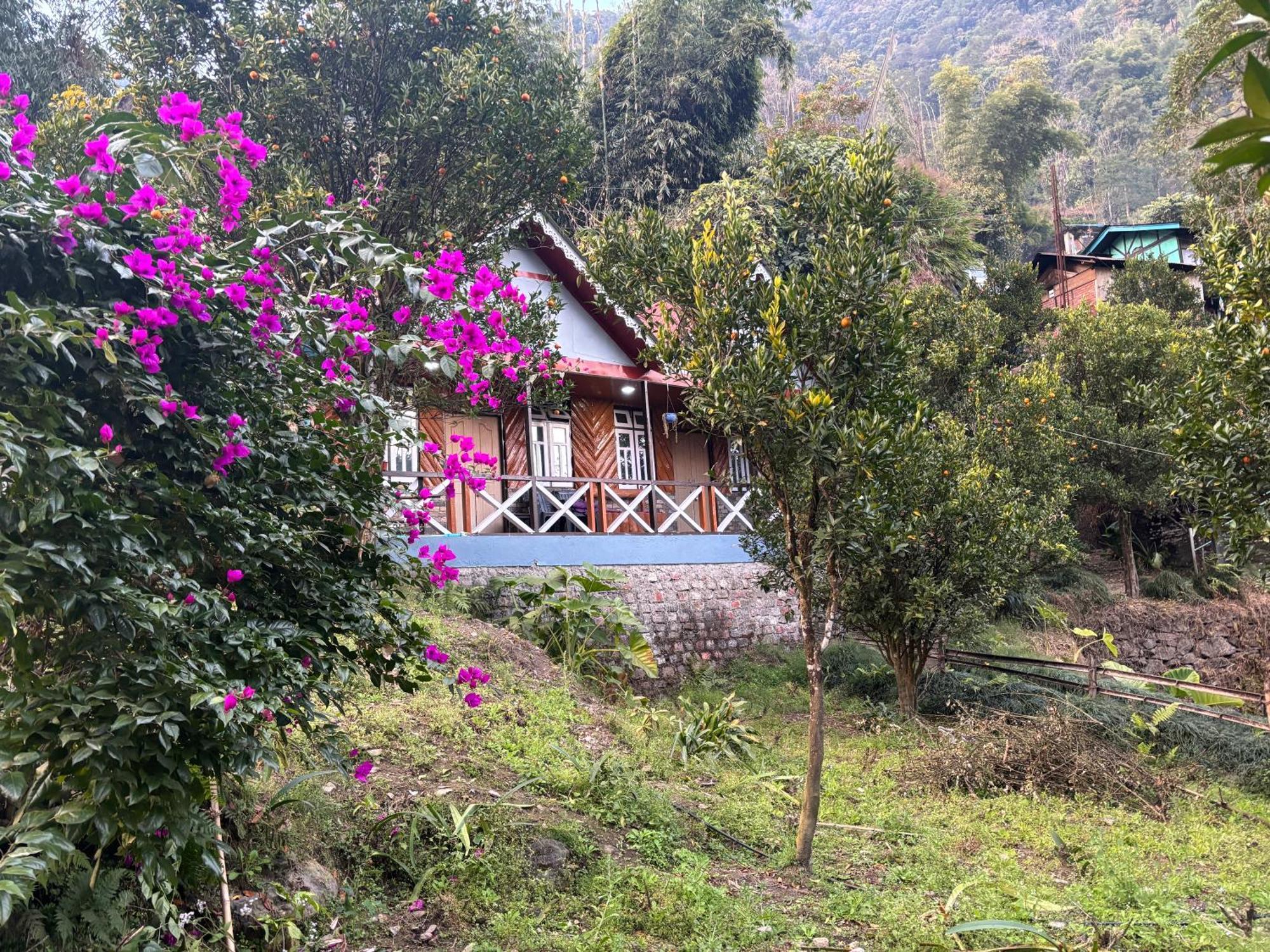 Odyssey Stays Rimbi Pelling Exterior foto